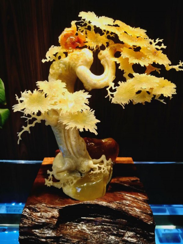src=http://localalternativefoods.com/skin/default/image/nopic.gif